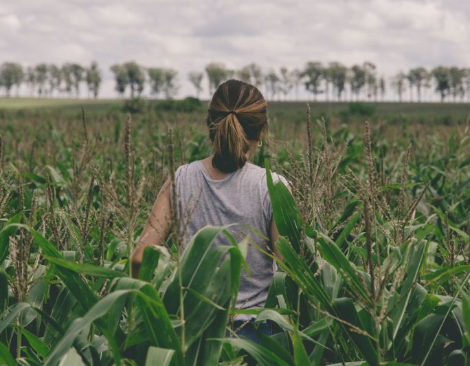 Farm Tour