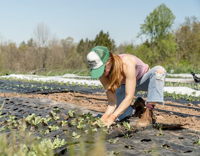 Innovative Farming