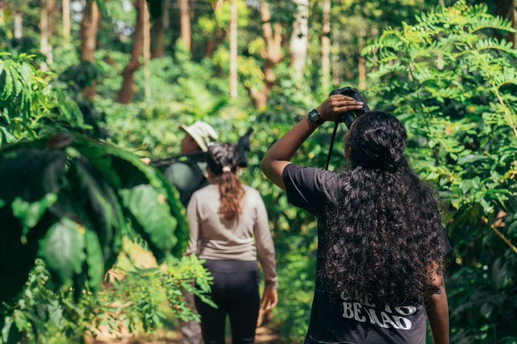 Feathers & Forest Trails Img